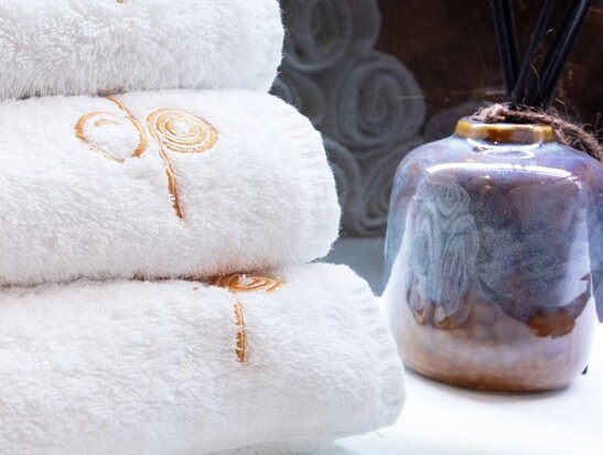 Relax v privátním wellness vs. návštěva wellness centra