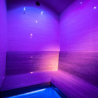 ZAVADILKA 2620 PREMIUM WELLNESS, parní kabina