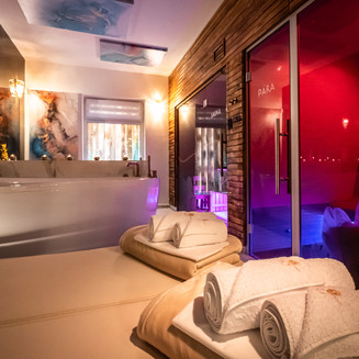 ZAVADILKA 2620 PREMIUM WELLNESS, interiér