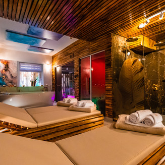 ZAVADILKA 2620 PREMIUM WELLNESS, lehátková zóna