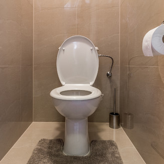 ZAVADILKA 2620 APARTMENT, interiér, toaleta