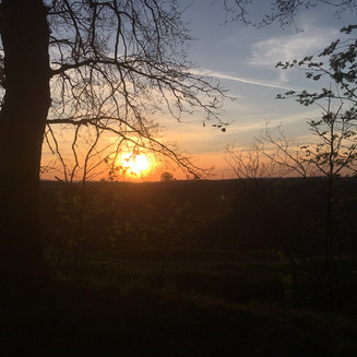 Ptačí rezervace Vrbenské rybníky