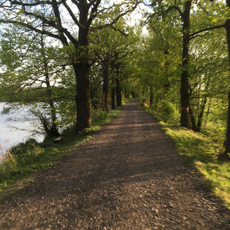 Ptačí rezervace Vrbenské rybníky