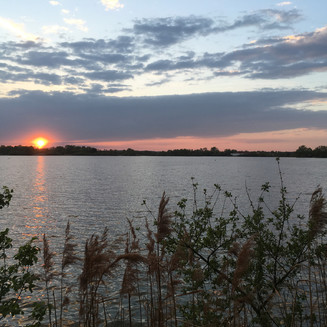 Ptačí rezervace Vrbenské rybníky