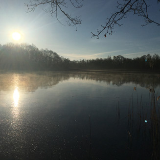Ptačí rezervace Vrbenské rybníky