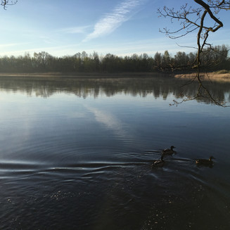 Ptačí rezervace Vrbenské rybníky