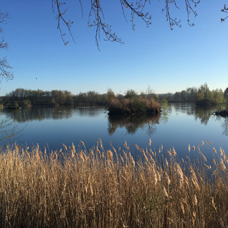 Ptačí rezervace Vrbenské rybníky