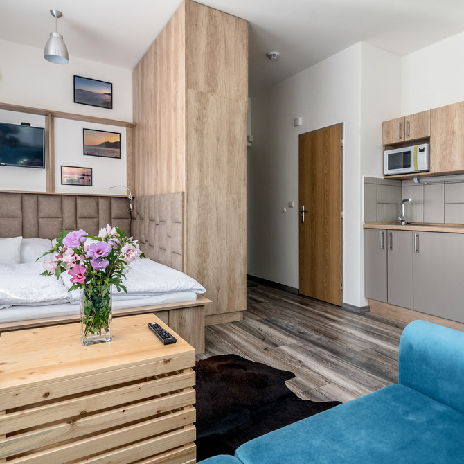 ZAVADILKA 2620 APARTMENT, interiér