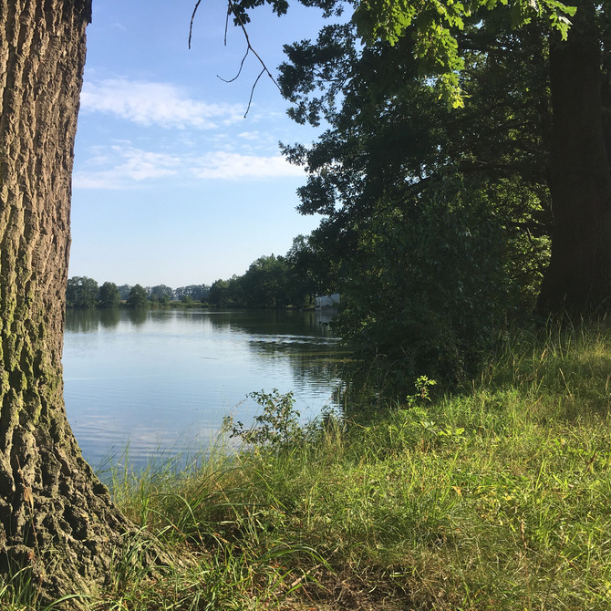 Ptačí rezervace Vrbenské rybníky