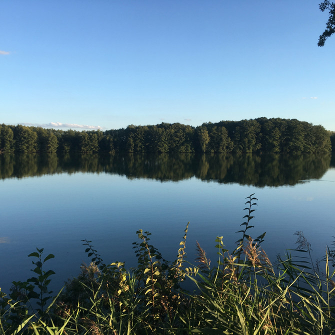 Ptačí rezervace Vrbenské rybníky