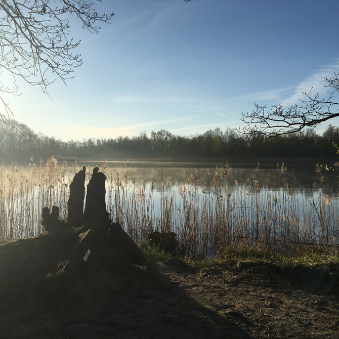 Ptačí rezervace Vrbenské rybníky